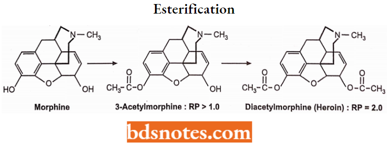Drugs Acting On Central Nervous System Esterification