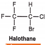 Drugs Acting On Central Nervous System Halothane
