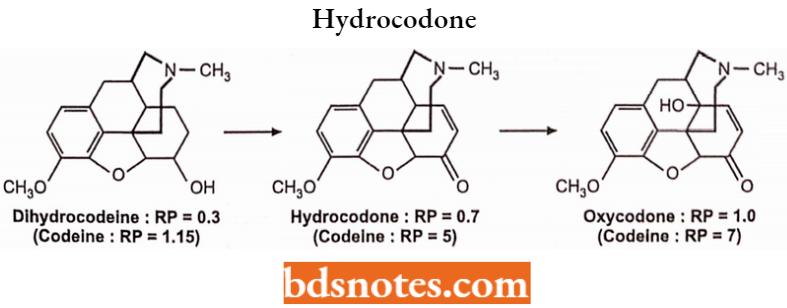 Drugs Acting On Central Nervous System Hydrocodone