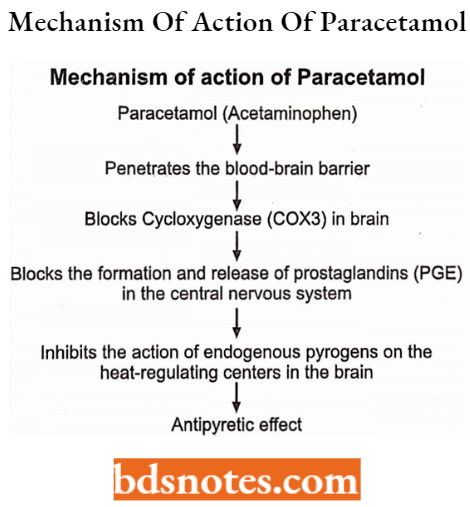 Drugs Acting On Central Nervous System Mechanism Of Action Of Paracetamol