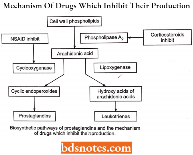 Drugs Acting On Central Nervous System Mechanism Of Drugs Which Inhibit Their Production