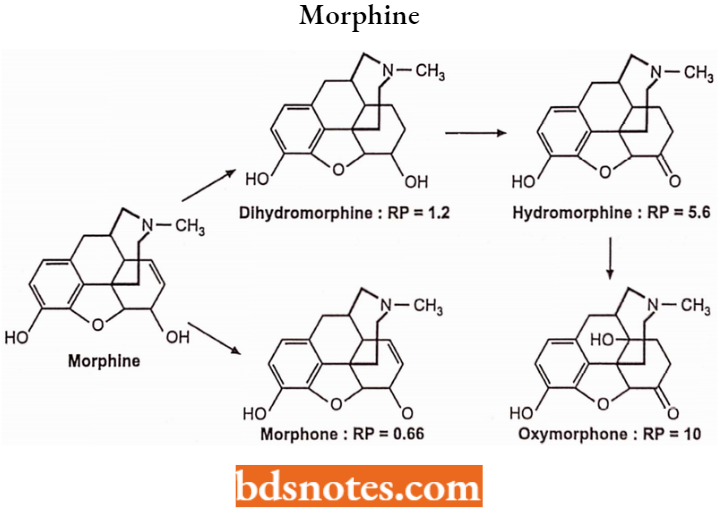 Drugs Acting On Central Nervous System Morphine