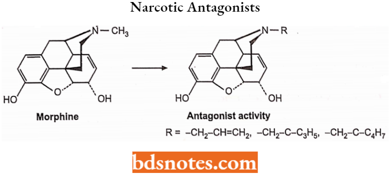 Drugs Acting On Central Nervous System Narcotic Antagonists
