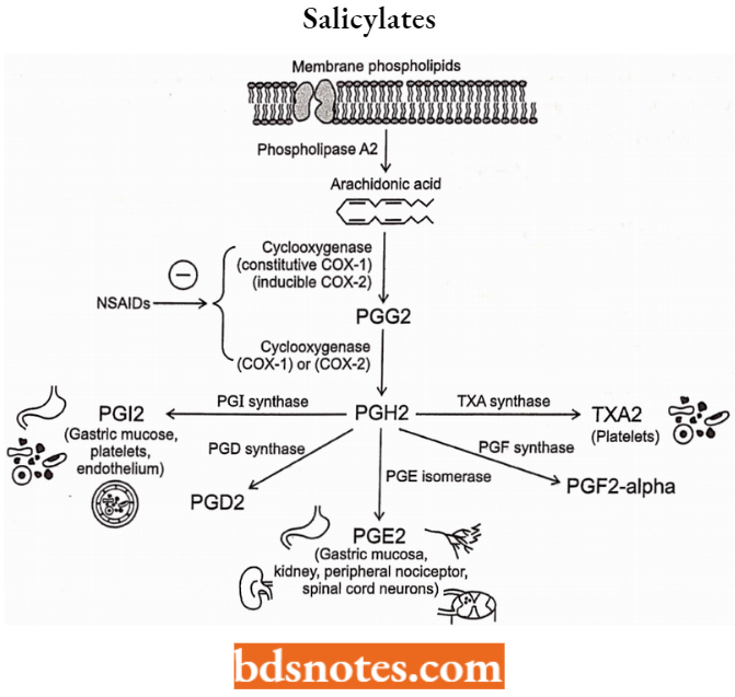 Drugs Acting On Central Nervous System Salicylates