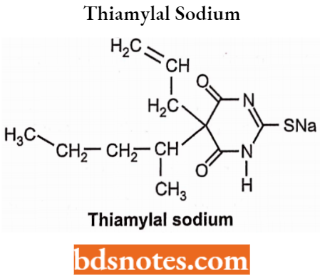 Drugs Acting On Central Nervous System Thiamylal Sodium