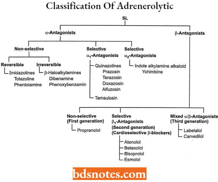 Drugs Action On Autonomic Nervous System Classification Of Adrenerolytic Or Sympatholytic