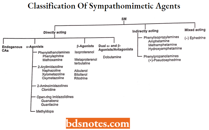 Drugs Action On Autonomic Nervous System Classification Of Sympathomimetic Agents
