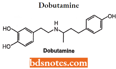 Drugs Action On Autonomic Nervous System Dobutamine