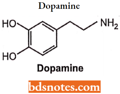 Drugs Action On Autonomic Nervous System Dopamine