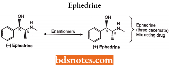 Drugs Action On Autonomic Nervous System Ephedrine