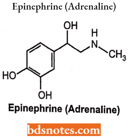 Drugs Action On Autonomic Nervous System Epinephrine (Adrenaline)