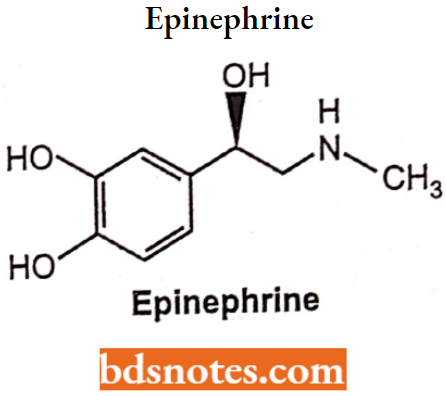 Drugs Action On Autonomic Nervous System Epinephrine