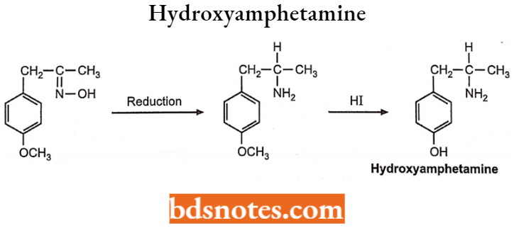 Drugs Action On Autonomic Nervous System Hydroxyamphetamine