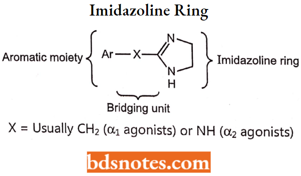Drugs Action On Autonomic Nervous System Imidazoline Ring