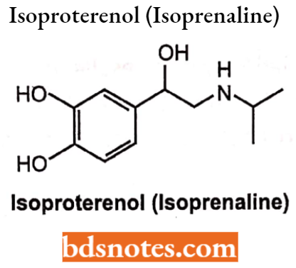 Drugs Action On Autonomic Nervous System Isoproterenol (Isoprenaline)