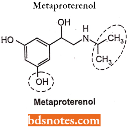 Drugs Action On Autonomic Nervous System Metaproterenol