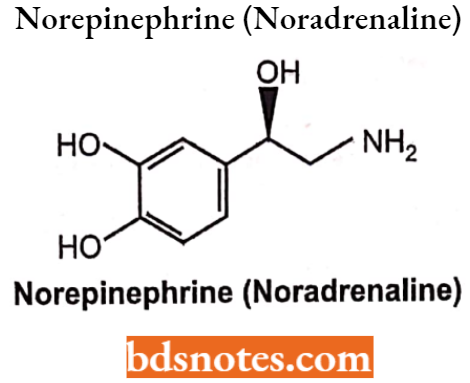 Drugs Action On Autonomic Nervous System Norepinephrine (Noradrenaline)