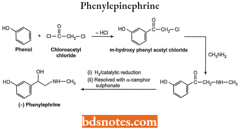 Drugs Action On Autonomic Nervous System Phenylepinephrine Synthesis