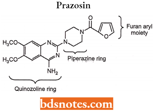 Drugs Action On Autonomic Nervous System Prazosin