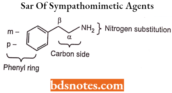 Drugs Action On Autonomic Nervous System Sar Of Sympathomimetic Agents