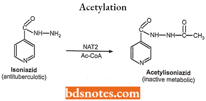 Medical Chemistry Acetylation Example