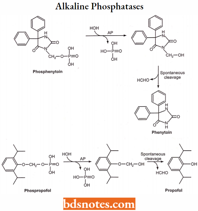 Medical Chemistry By Alkaline Phosphatases