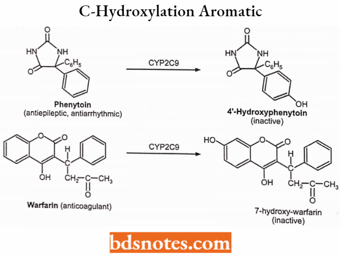 Medical Chemistry C-Hydroxylation Aromatic
