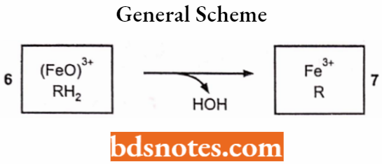 Medical Chemistry General Scheme.