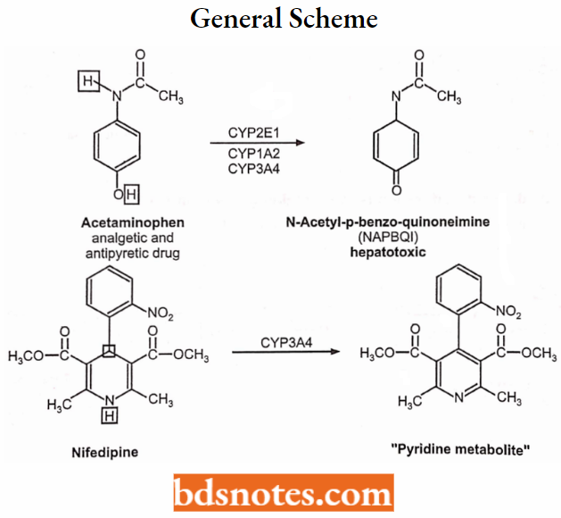 Medical Chemistry General Scheme Examples