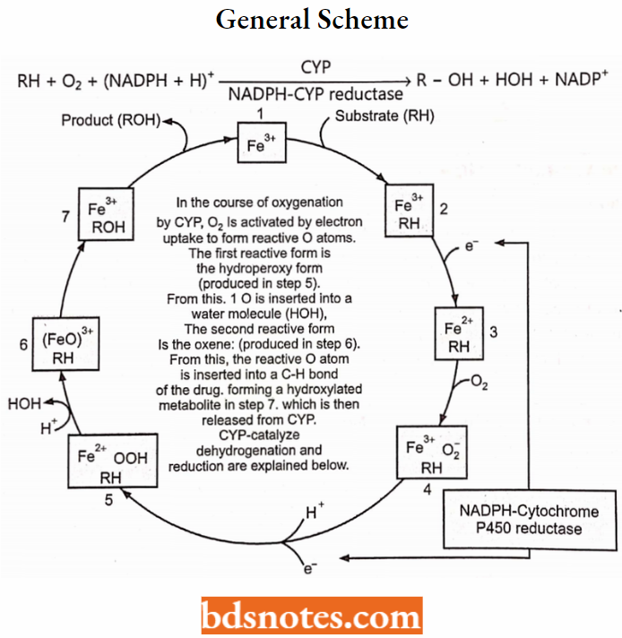 Medical Chemistry General Scheme