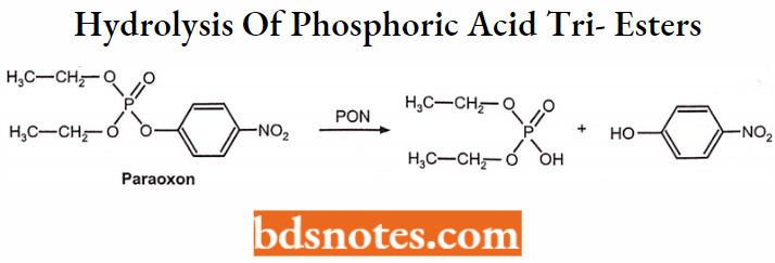 Medical Chemistry Hydrolysis Of Phosphoric Acid Tri- Esters