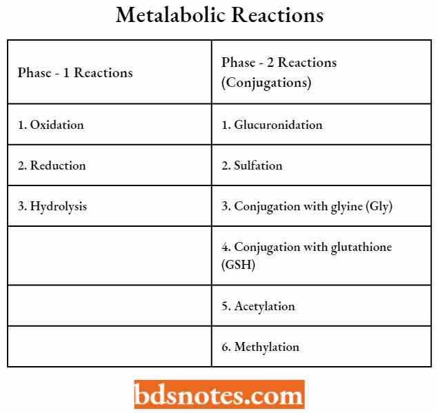 Medical Chemistry Metabolic Reactions