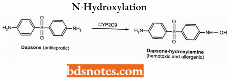 Medical Chemistry N-Hydroxylation