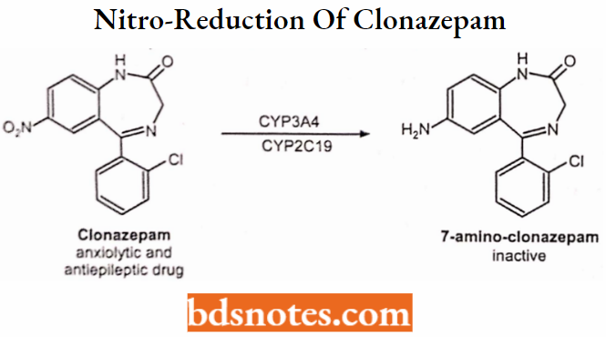 Medical Chemistry Nitro-Reduction Of Clonazepam To 7-Amino-Clonazepam