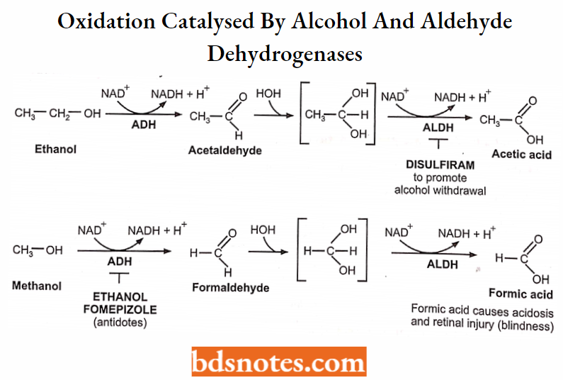 Medical Chemistry Oxidation Catalysed By Alcohol And Aldehyde Dehydrogenases