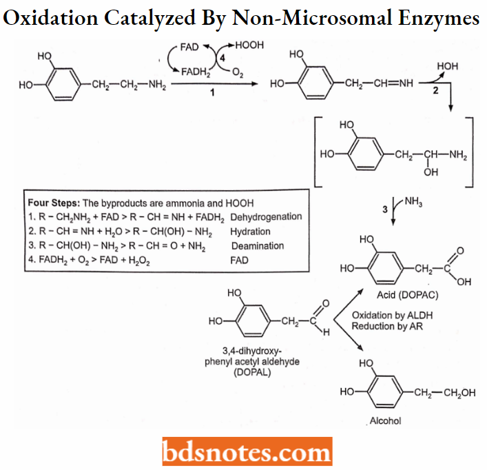 Medical Chemistry Oxidation Catalyzed By Non-Microsomal Enzymes
