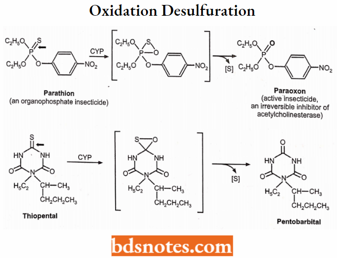 Medical Chemistry Oxidation Desulfuration