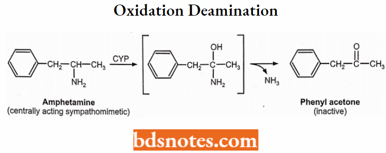 Medical Chemistry Oxidative Deamination