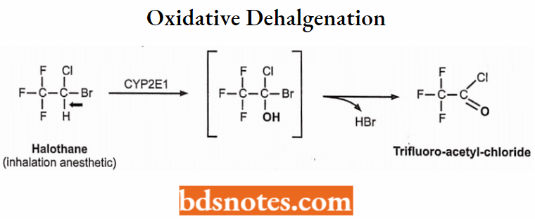 Medical Chemistry Oxidative Dehalgenation
