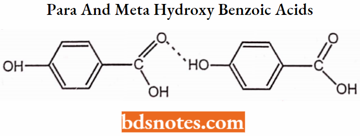 Medical Chemistry Para And Meta Hydroxy Benzoic Acids Are Inactive