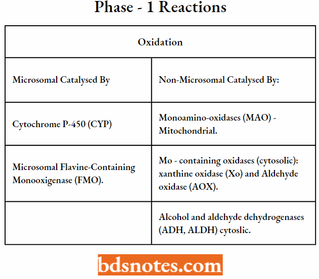 Medical Chemistry Phase - 1 Reactions