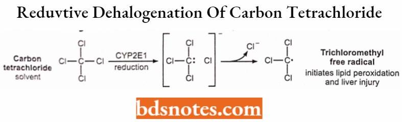 Medical Chemistry Reductive Dehalogenation Of Carbon Tetrachloride