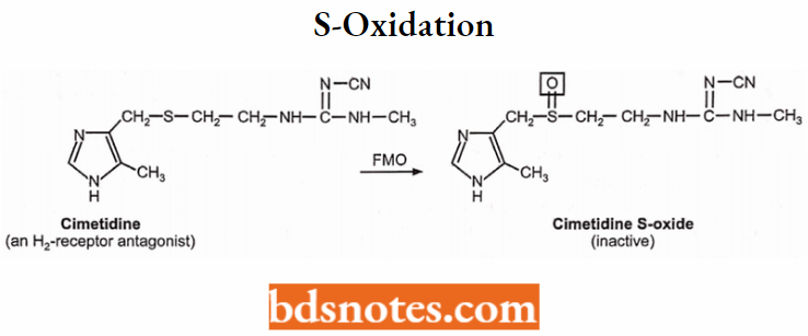 Medical Chemistry S-Oxidation