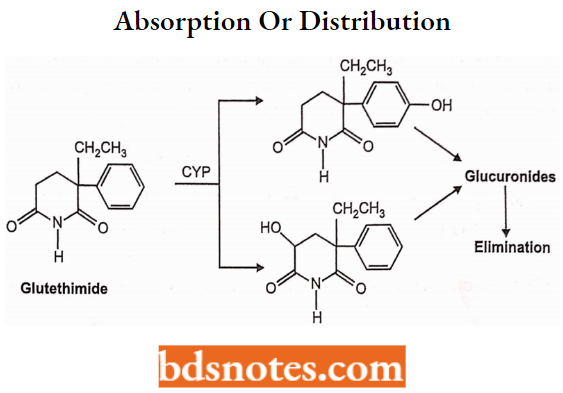 Sedatives And Hypnotics Absorption Or Distribution