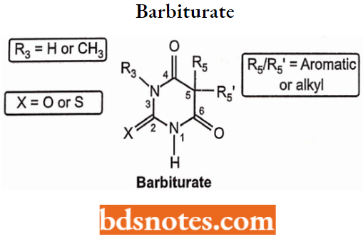 Sedatives And Hypnotics Barbiturate