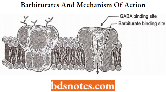 Sedatives And Hypnotics Barbiturates And Mechanism Of Action
