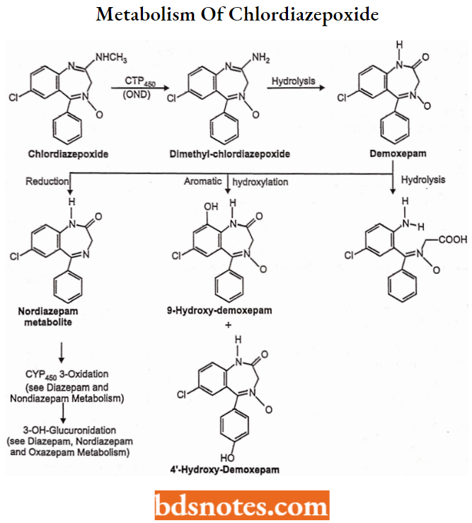 Sedatives And Hypnotics Metabolism Of Chlordiazepoxide Or Amidine BDZs