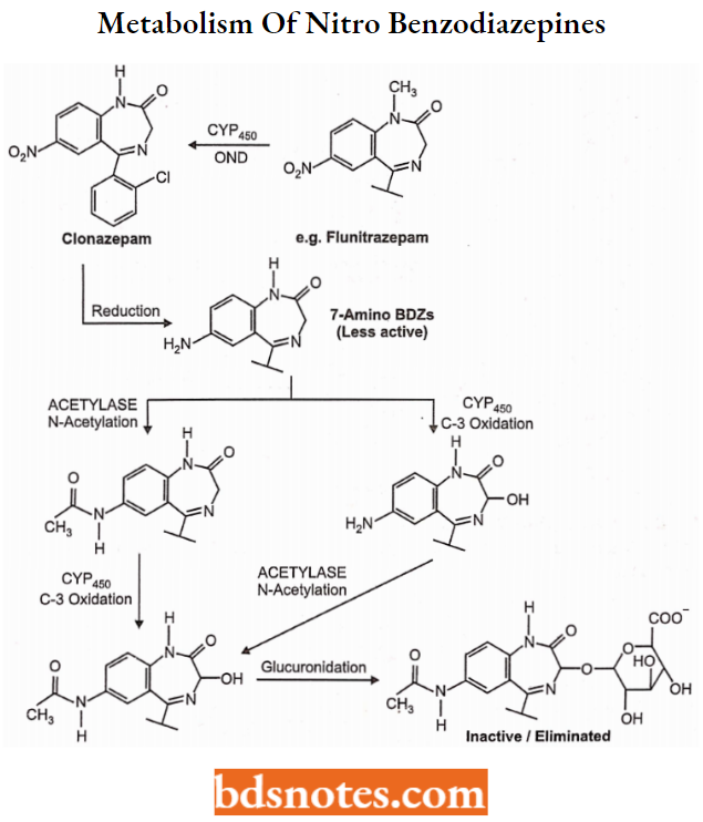 Sedatives And Hypnotics Metabolism Of Nitro Benzodiazepines