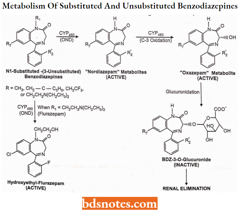 Sedatives And Hypnotics Metabolism Of Substituted And Unsubstituted Benzodiazepines