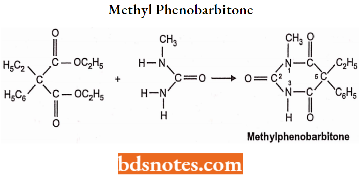 Sedatives And Hypnotics Phenobarbitone